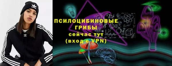 гашик Армянск