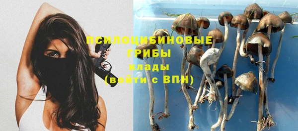 гашик Армянск