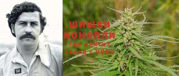 молекула духа Аркадак